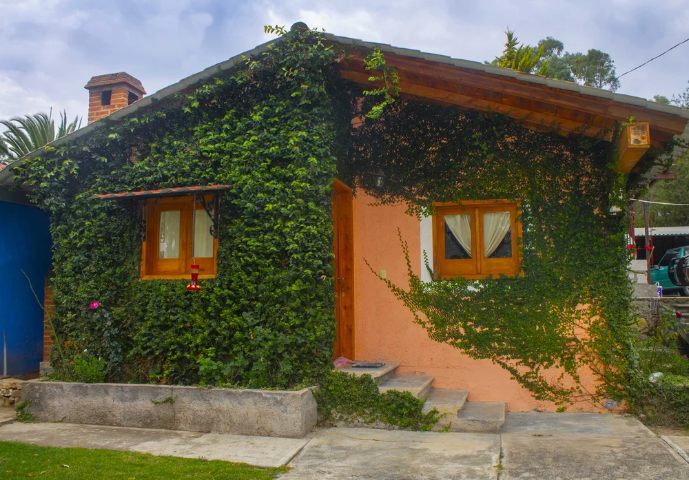 Cabañas los agaves